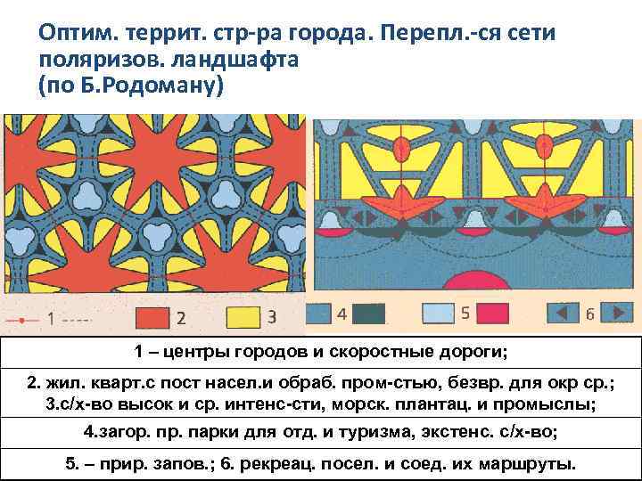 Оптим. террит. стр-ра города. Перепл. -ся сети поляризов. ландшафта (по Б. Родоману) 1 –