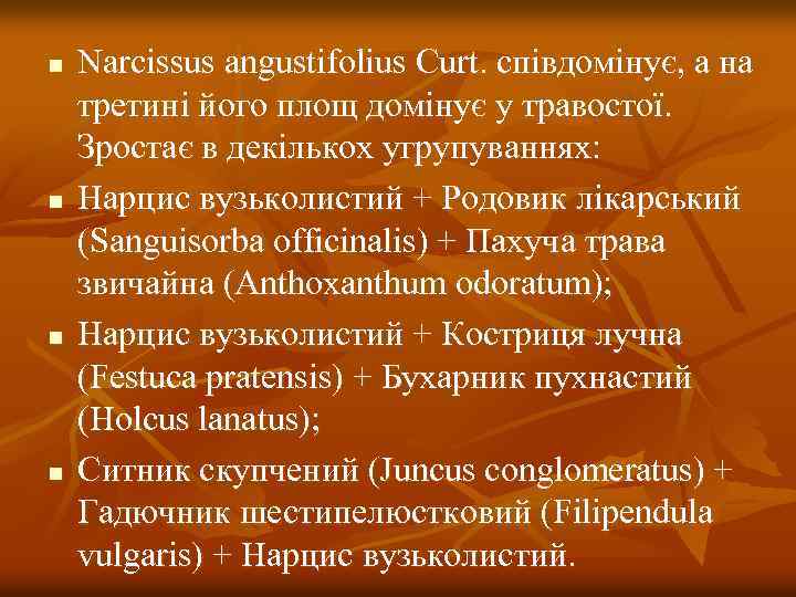 n n Narcissus angustifolius Curt. співдомінує, а на третині його площ домінує у травостої.