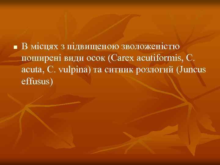 n В місцях з підвищеною зволоженістю поширені види осок (Carex acutiformis, C. acuta, C.