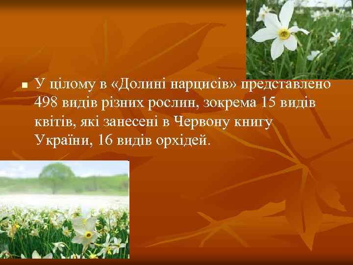 n У цілому в «Долині нарцисів» представлено 498 видів різних рослин, зокрема 15 видів