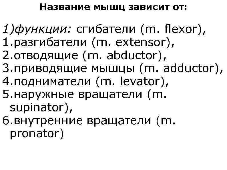 Название мышц зависит от: 1)функции: сгибатели (m. flexor), 1. разгибатели (m. extensor), 2. отводящие