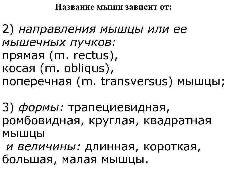 Название мышц зависит от: 2) направления мышцы или ее мышечных пучков: прямая (m. rectus),