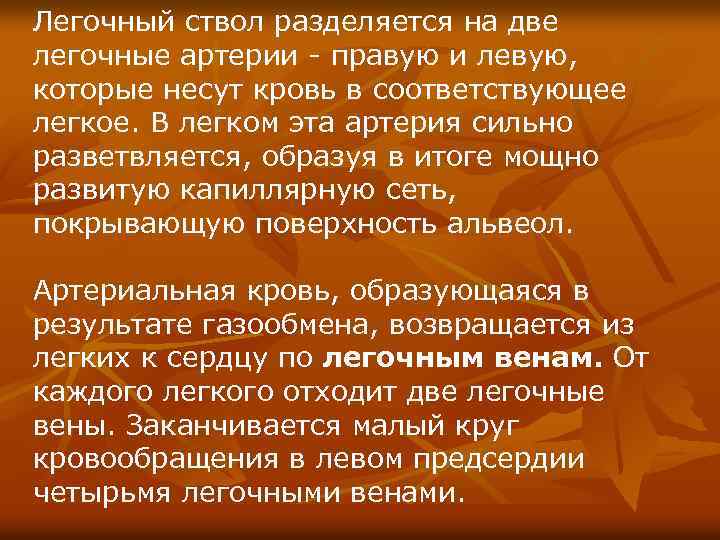 Легочный ствол разделяется на две легочные артерии - правую и левую, которые несут кровь