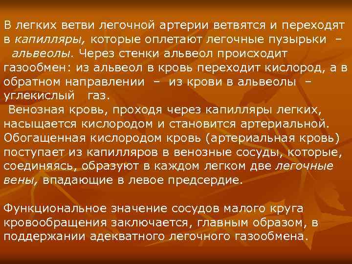В легких ветви легочной артерии ветвятся и переходят в капилляры, которые оплетают легочные пузырьки