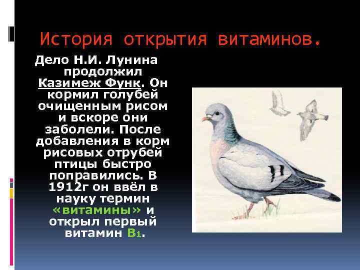 История открытия витаминов. Дело Н. И. Лунина продолжил Казимеж Функ. Он кормил голубей очищенным