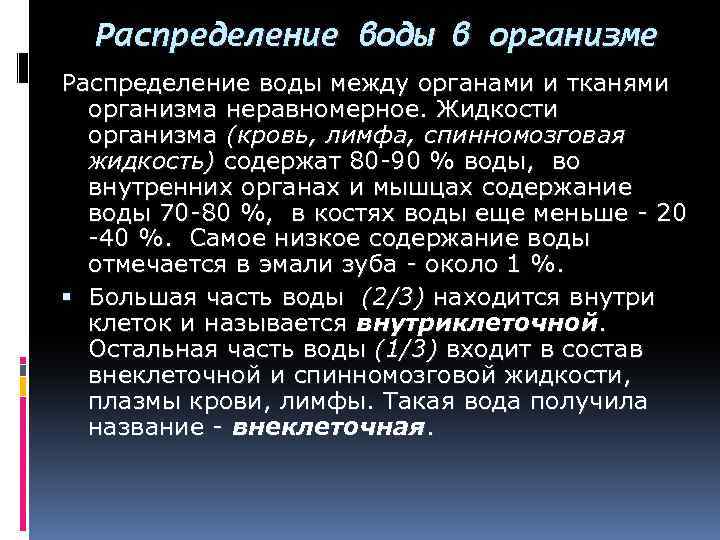 Распределение воды в организме Распределение воды между органами и тканями организма неравномерное. Жидкости организма