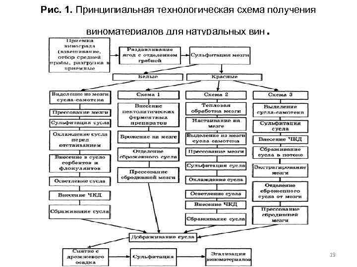 Рис. 1. Принципиальная технологическая схема получения виноматериалов для натуральных вин . 19 