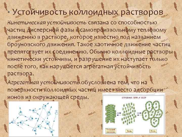  • Устойчивость коллоидных растворов Кинетическая устойчивость связана со способностью частиц дисперсной фазы к