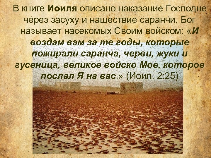 В книге Иоиля описано наказание Господне через засуху и нашествие саранчи. Бог называет насекомых