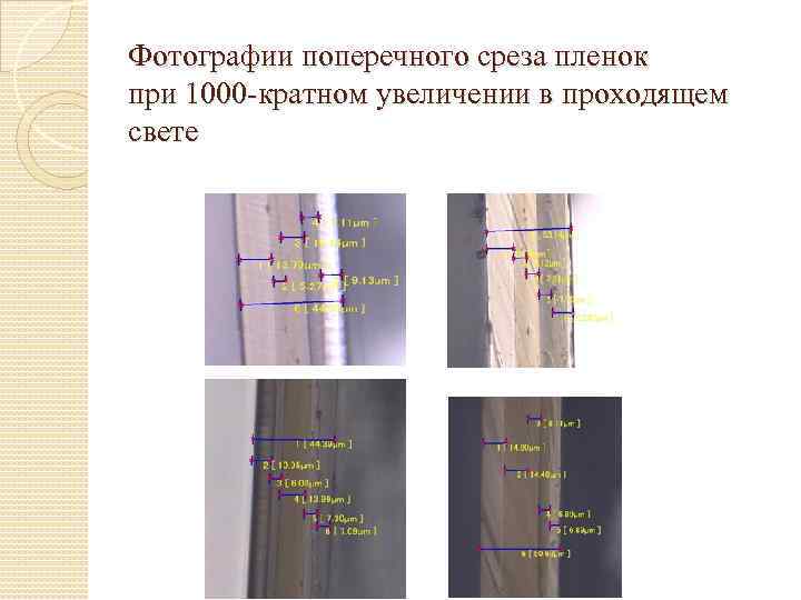Фотографии поперечного среза пленок при 1000 -кратном увеличении в проходящем свете 