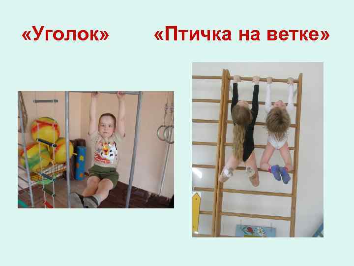  «Уголок» «Птичка на ветке» 