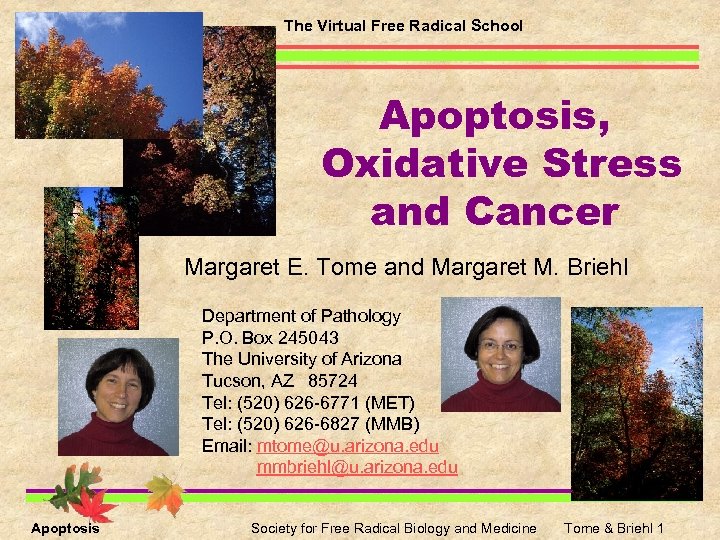 The Virtual Free Radical School Apoptosis, Oxidative Stress and Cancer Margaret E. Tome and