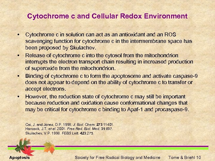 Cytochrome c and Cellular Redox Environment • • Cytochrome c in solution can act