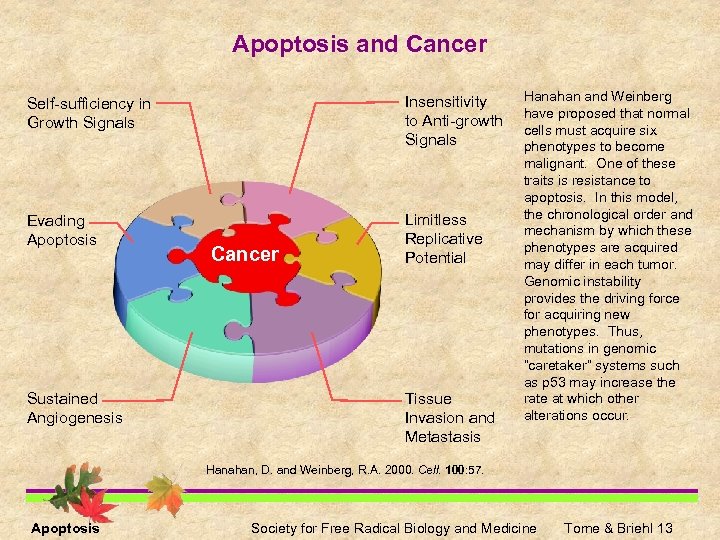 Apoptosis and Cancer Self-sufficiency in Growth Signals Insensitivity to Anti-growth Signals Evading Apoptosis Limitless