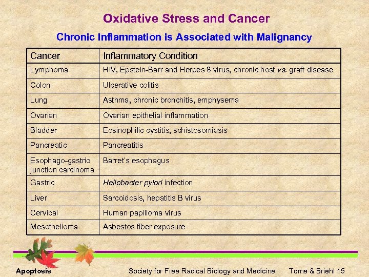 Oxidative Stress and Cancer Chronic Inflammation is Associated with Malignancy Cancer Inflammatory Condition Lymphoma