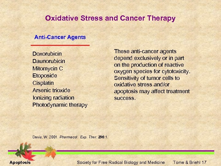 Oxidative Stress and Cancer Therapy Anti-Cancer Agents Doxorubicin Daunorubicin Mitomycin C Etoposide Cisplatin Arsenic