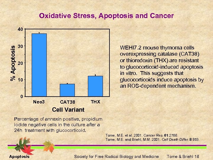 Oxidative Stress, Apoptosis and Cancer % Apoptosis 40 30 WEHI 7. 2 mouse thymoma