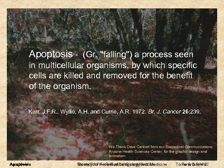 Apoptosis - (Gr. 