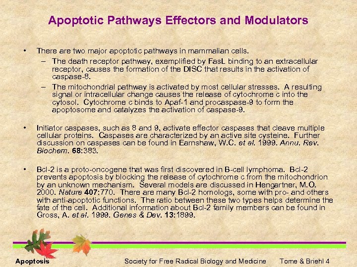 Apoptotic Pathways Effectors and Modulators • There are two major apoptotic pathways in mammalian