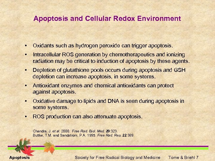 Apoptosis and Cellular Redox Environment • Oxidants such as hydrogen peroxide can trigger apoptosis.