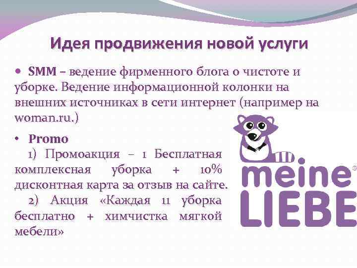 Идея продвижения новой услуги SMM – ведение фирменного блога о чистоте и уборке. Ведение