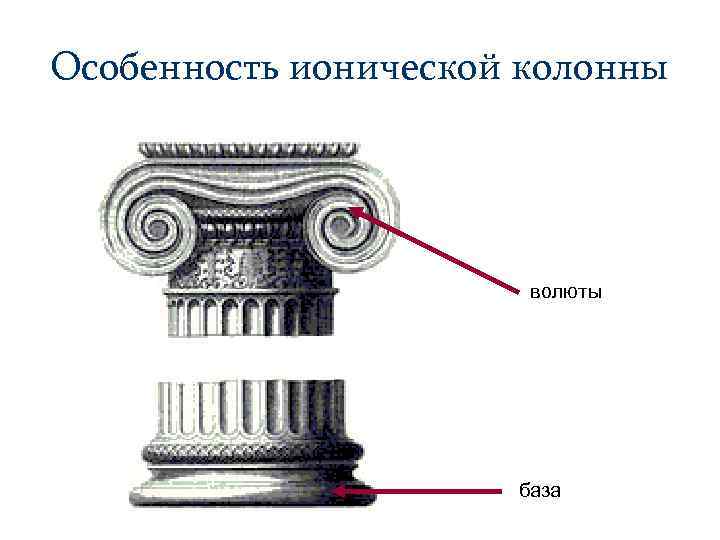 Особенность ионической колонны волюты база 
