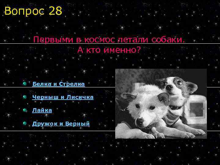 Вопрос 28 Первыми в космос летали собаки. А кто именно? Белка и Стрелка Черныш