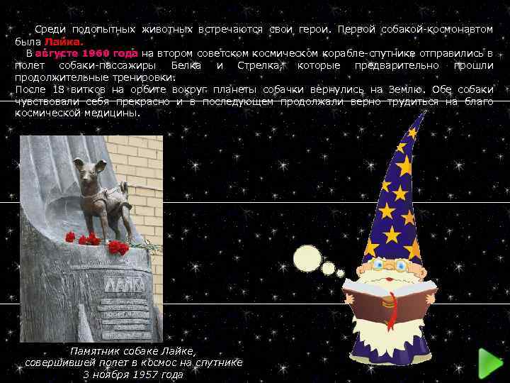  Среди подопытных животных встречаются свои герои. Первой собакой-космонавтом была Лайка. В августе 1960