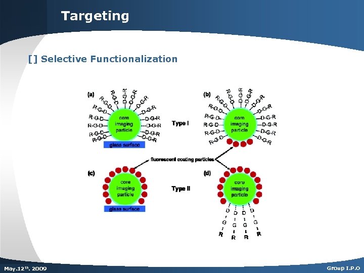 Targeting [] Selective Functionalization Dec. th. 2007 May. 125 th 2009 Group I. P.