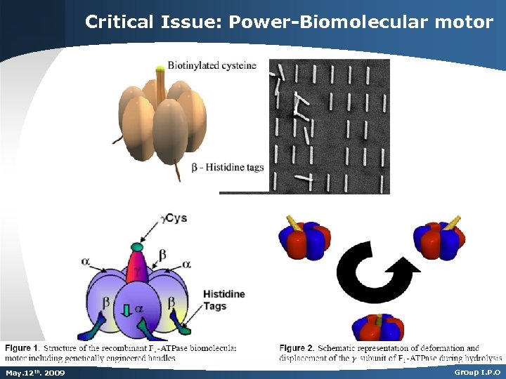 Critical Issue: Power-Biomolecular motor Dec. th. 2007 May. 125 th 2009 Group I. P.