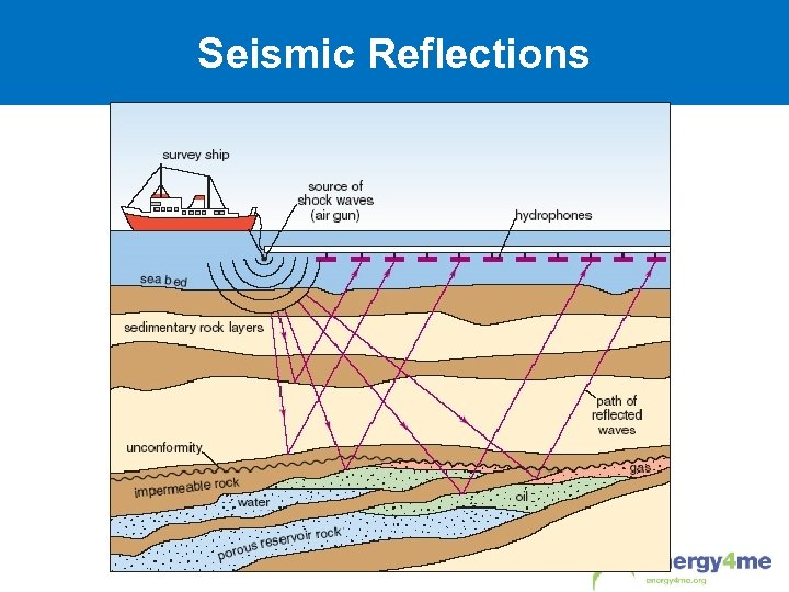 Seismic Reflections 