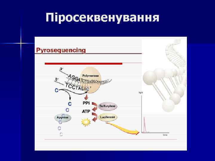 Піросеквенування 