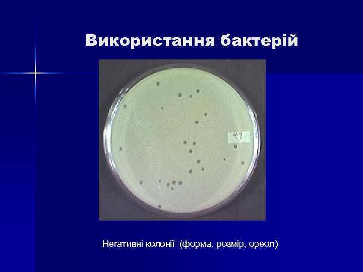 Використання бактерій Негативні колонії (форма, розмір, ореол) 