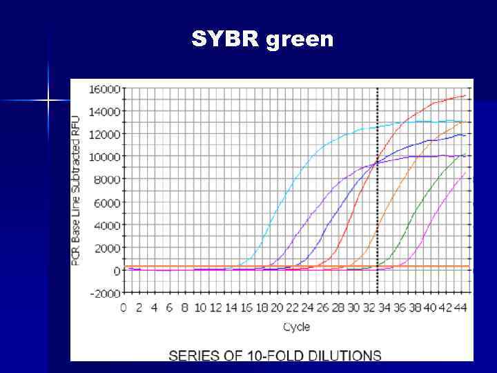SYBR green 