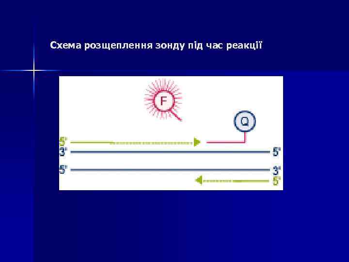 Схема розщеплення зонду під час реакції 