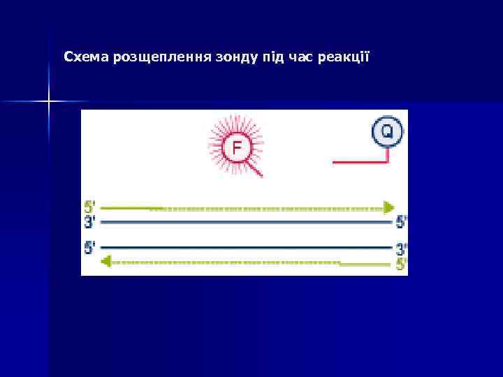 Схема розщеплення зонду під час реакції 