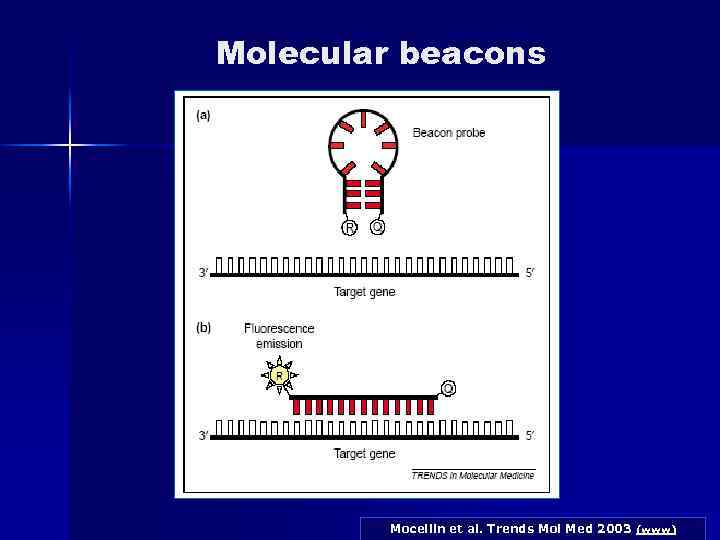 Molecular beacons Mocellin et al. Trends Mol Med 2003 (www) 