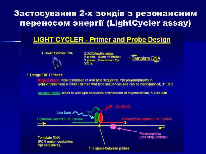 Застосування 2 -х зондів з резонансним переносом энергії (Light. Cycler assay) 