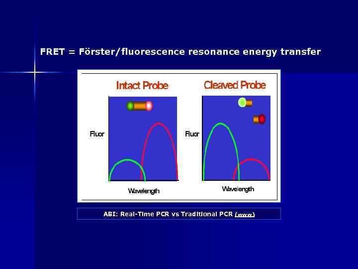 FRET = Förster/fluorescence resonance energy transfer ABI: Real-Time PCR vs Traditional PCR (www) 