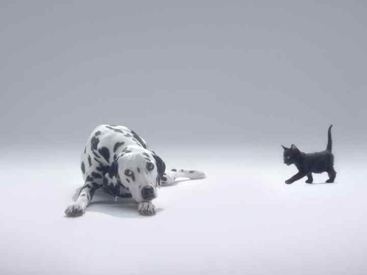 По данным D. P. Lookingbill (1988) частота выявления злокачественных опухолей кожи среди пациентов, обратившихся