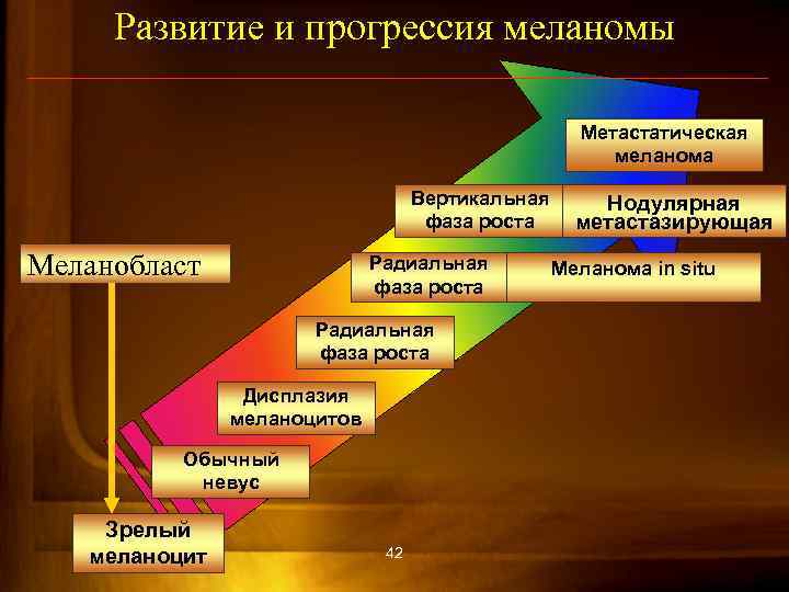 Развитие и прогрессия меланомы Метастатическая меланома Вертикальная фаза роста Меланобласт Радиальная фаза роста Дисплазия