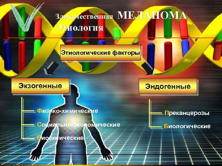 Злокачественная МЕЛАНОМА Этиология Этиологические факторы Экзогенные Эндогенные Физико-химические Преканцерозы Социально-экономические Биологические 48 