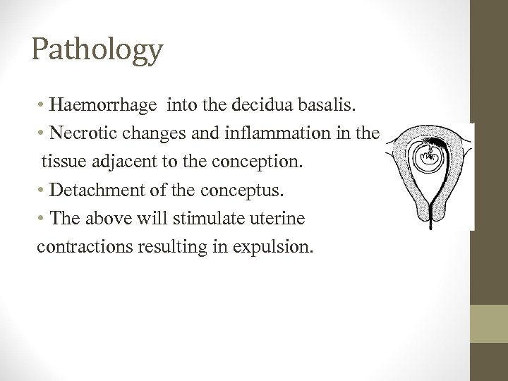 Pathology • Haemorrhage into the decidua basalis. • Necrotic changes and inflammation in the