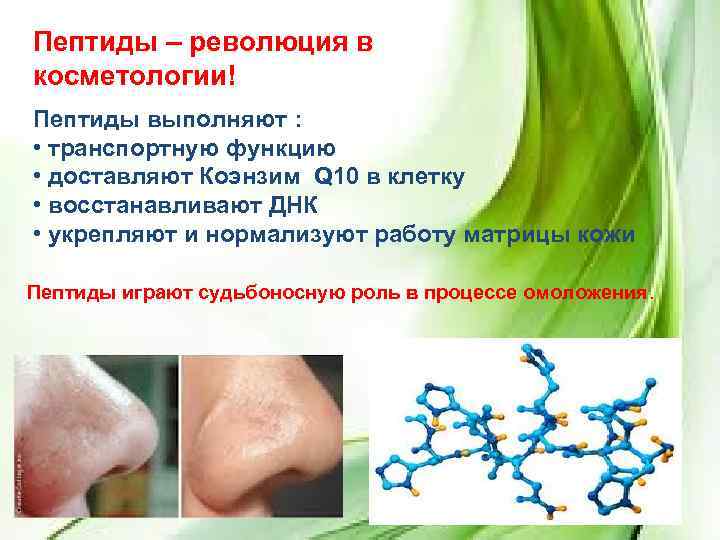 Пептиды – революция в косметологии! Пептиды выполняют : • транспортную функцию • доставляют Коэнзим