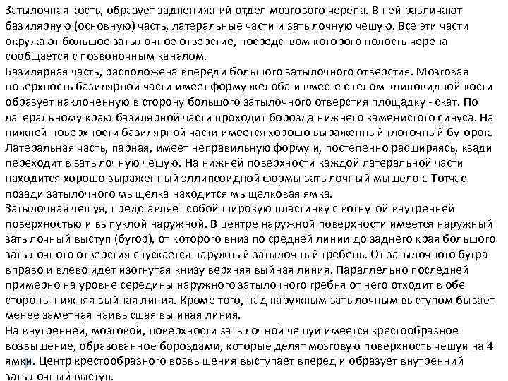 Затылочная кость, образует задненижний отдел мозгового черепа. В ней различают базилярную (основную) часть, латеральные