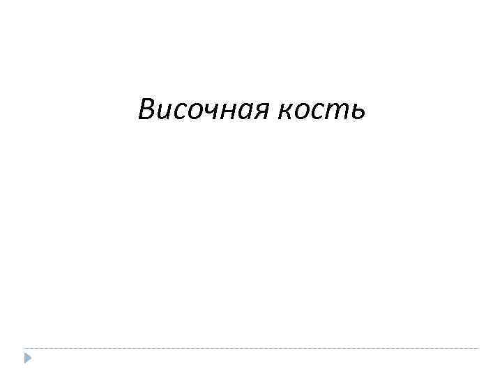 Височная кость 