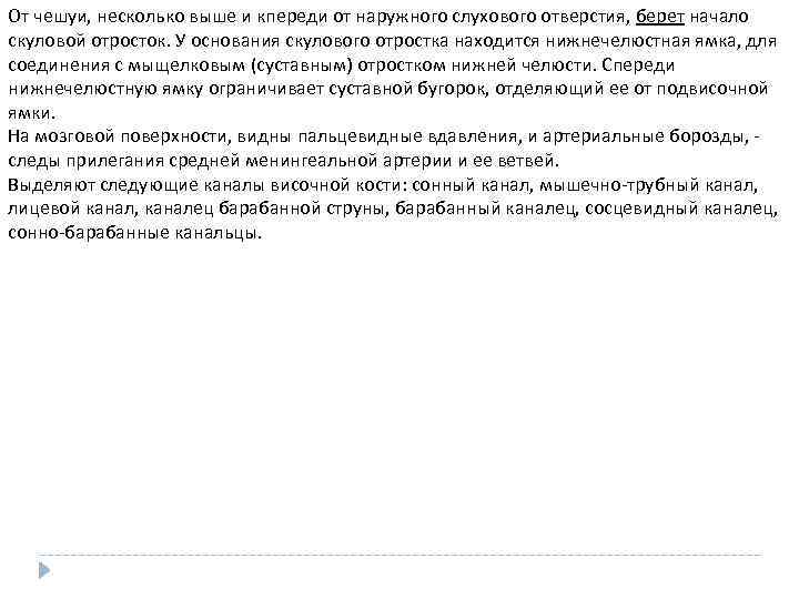 От чешуи, несколько выше и кпереди от наружного слухового отверстия, берет начало скуловой отросток.