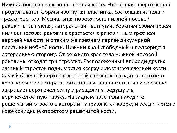 Нижняя носовая раковина - парная кость. Это тонкая, шероховатая, продолговатой формы изогнутая пластинка, состоящая