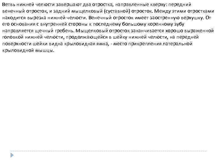 Ветвь нижней челюсти завершают два отростка, направленные кверху: передний венечный отросток, и задний мыщелковый