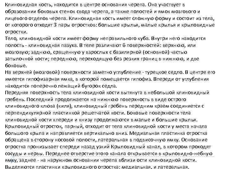Клиновидная кость, находится в центре основания черепа. Она участвует в образовании боковых стенок свода